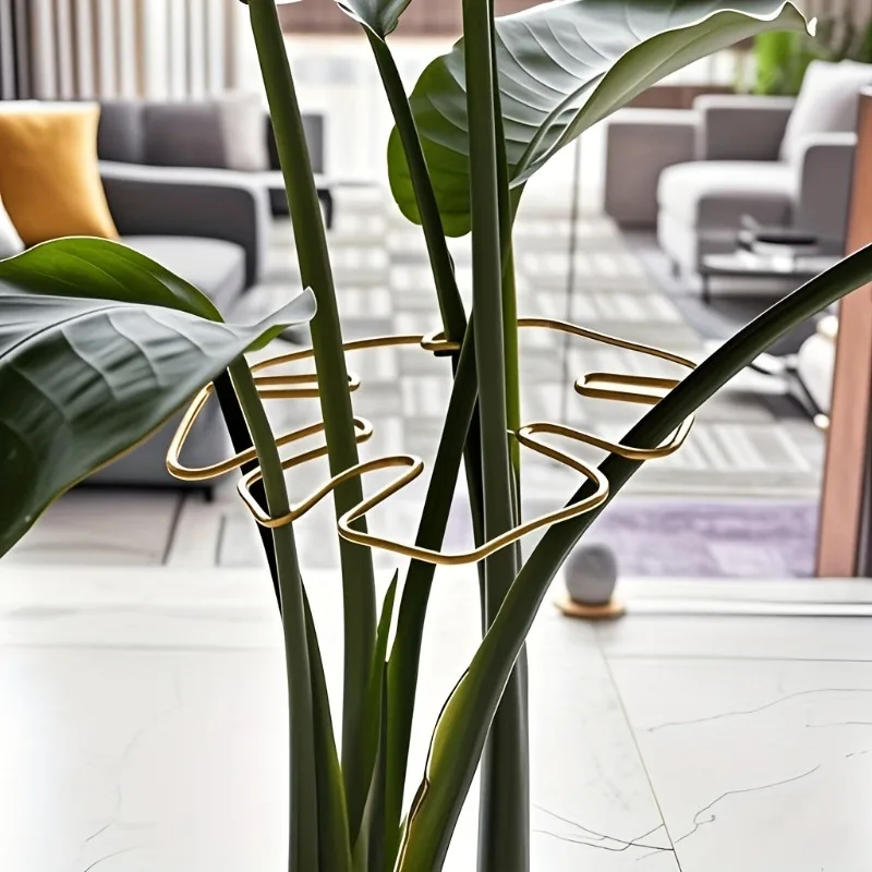 Pflanzenstielstütze, langlebig, Monstera-Stabilisator, Metall-Kletterpflanzentrainer, dekorativer Garten, ideale Pflanzenstütze für Wachstum