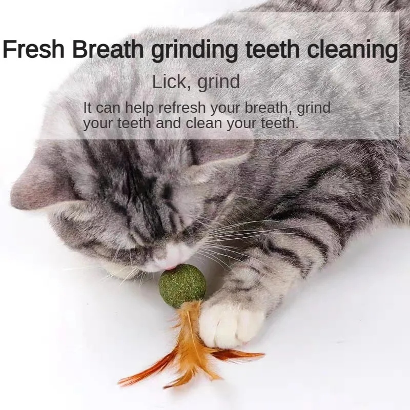 Teeth Cleaning Cat Molar Catnip Ball Cat Ball Pet Toys Cat Feather Toy Cat Toy Cat Snack Catnip new product windmill cat toy feather funny cat stick rod leaking cat turntable gyro ball can put catnip