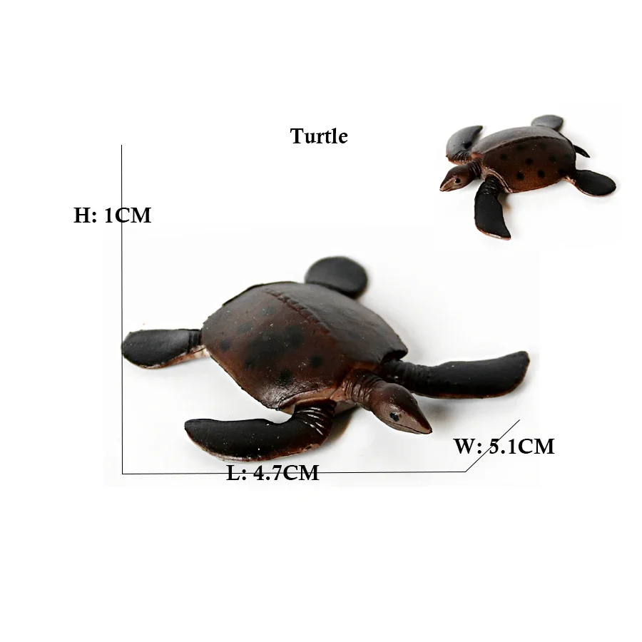 Sea Turtle Life Cycle Educational Toy Set - Marine Animal Figurines