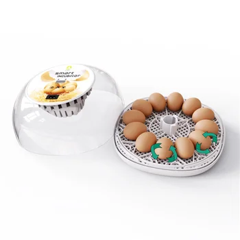 인큐베이터 갓심비 순위 BEST 8 7 7 5-product-image
