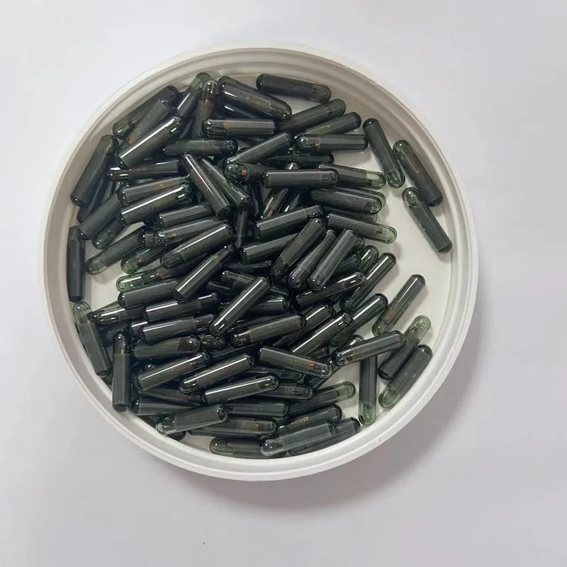 Рисунок 3 - Оригинальный ID48 чип для автомобильного