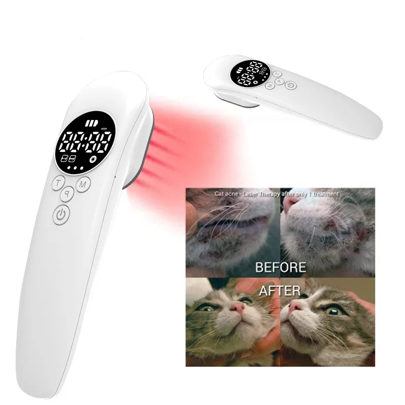 

Household red light pain therapy cold Laser phototherapy infrared laser veterinary red light therapy for vet,dogs,cats