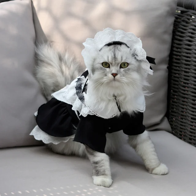 Ensemble robe et chapeau de femme de chambre pour chat olympiques de cosplay mignons jupe pour