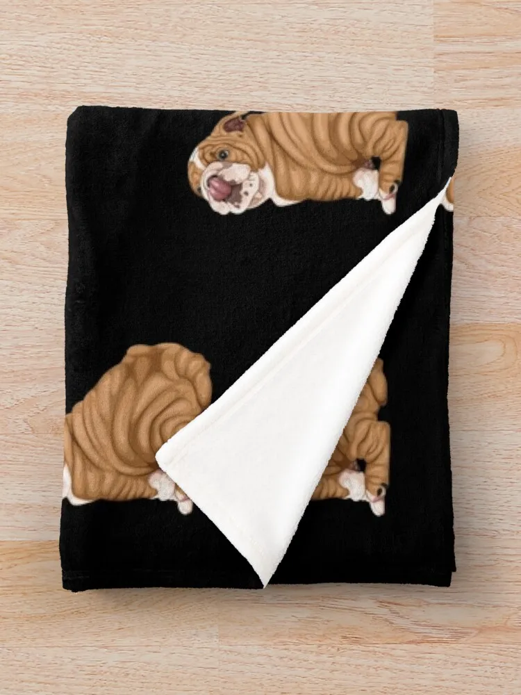 ���� �ҵ� ������ ���, ���� ���, ���� ���, �ε巯�� ���� ����