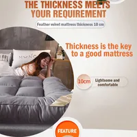 Down soft mattress five-star hotel three-dimensional thickened 10cm mattress student dormitory 0.9m/1.2m soft cushion quilt 3