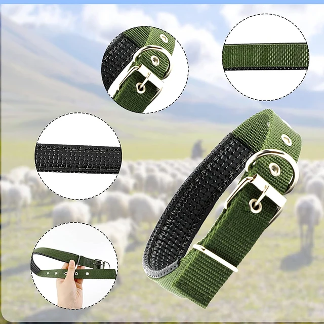 3 Pack Goat Collar with Bell Grazing Copper Bells and Adjustable Nylon Collar Set for Small Farm Animal Sheep Cow Pet Goat green 5