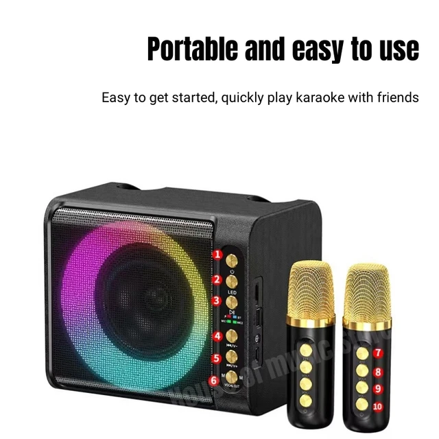 Enceinte audio portable sans fil pour karaoké
