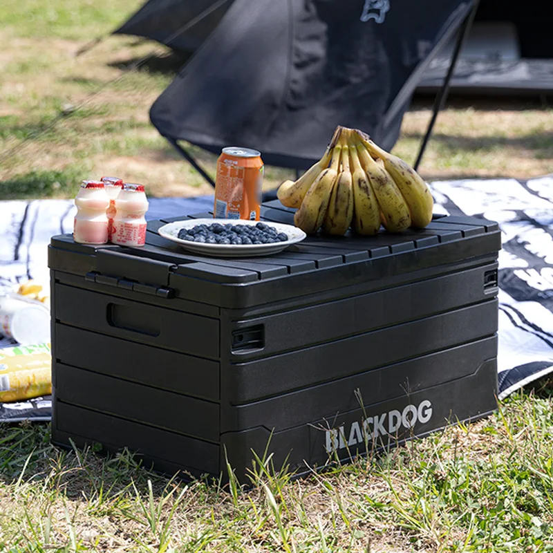 60L Foldable Storage Box 2
