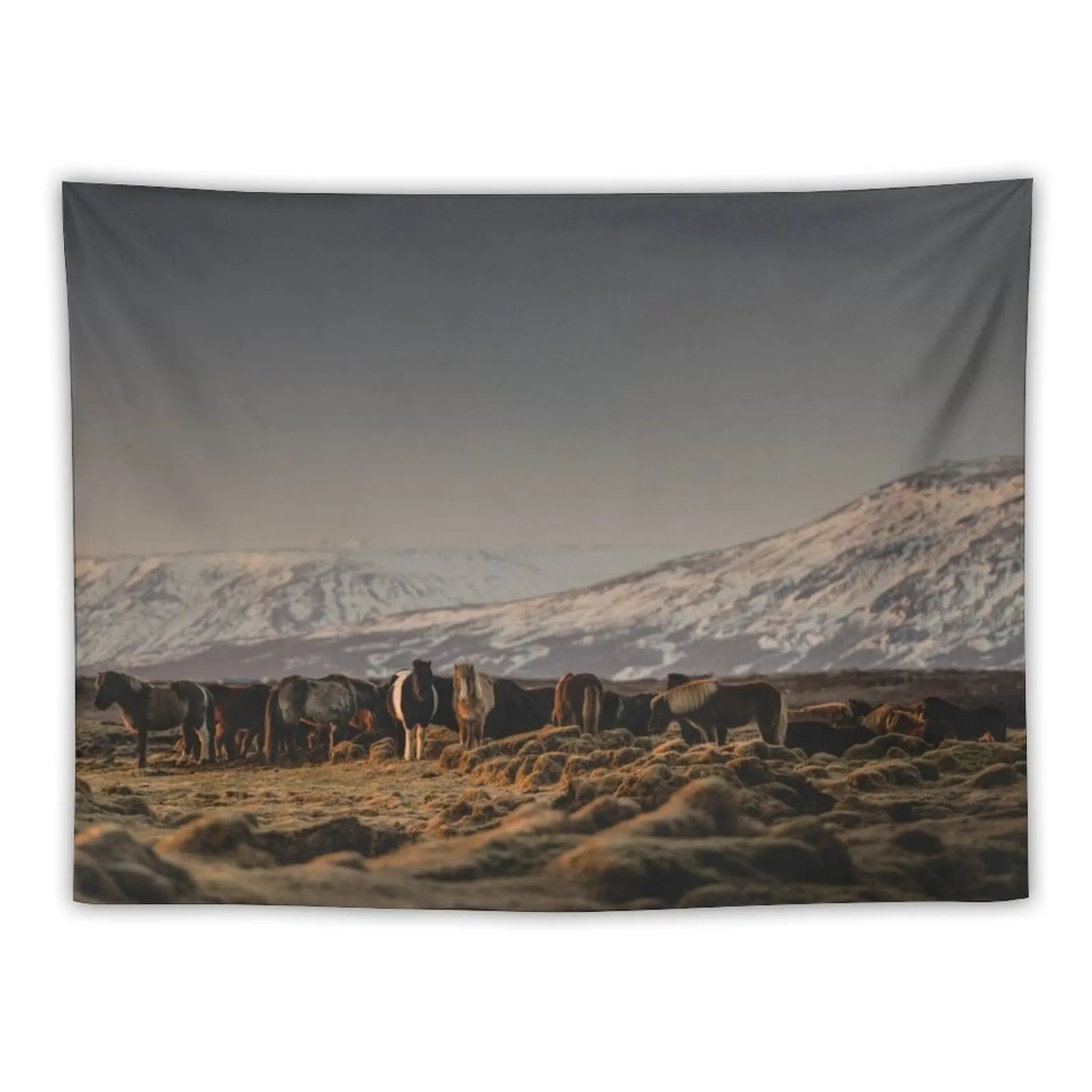 

Icelandic Horses I Tapestry Room Decorations Room Decor Tapestry