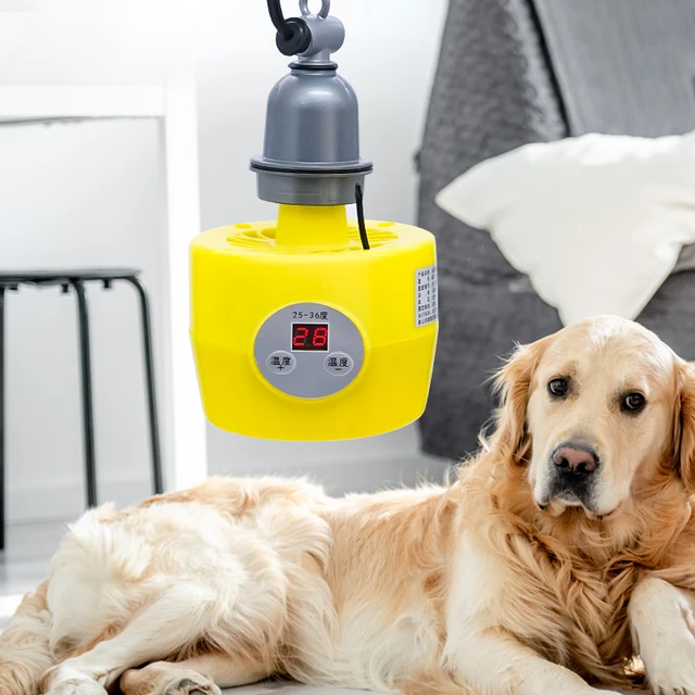 Lampada Riscaldante Infrarossi 150W E27 - Per Pulcini E Animali, Luce Rossa - Foto 5