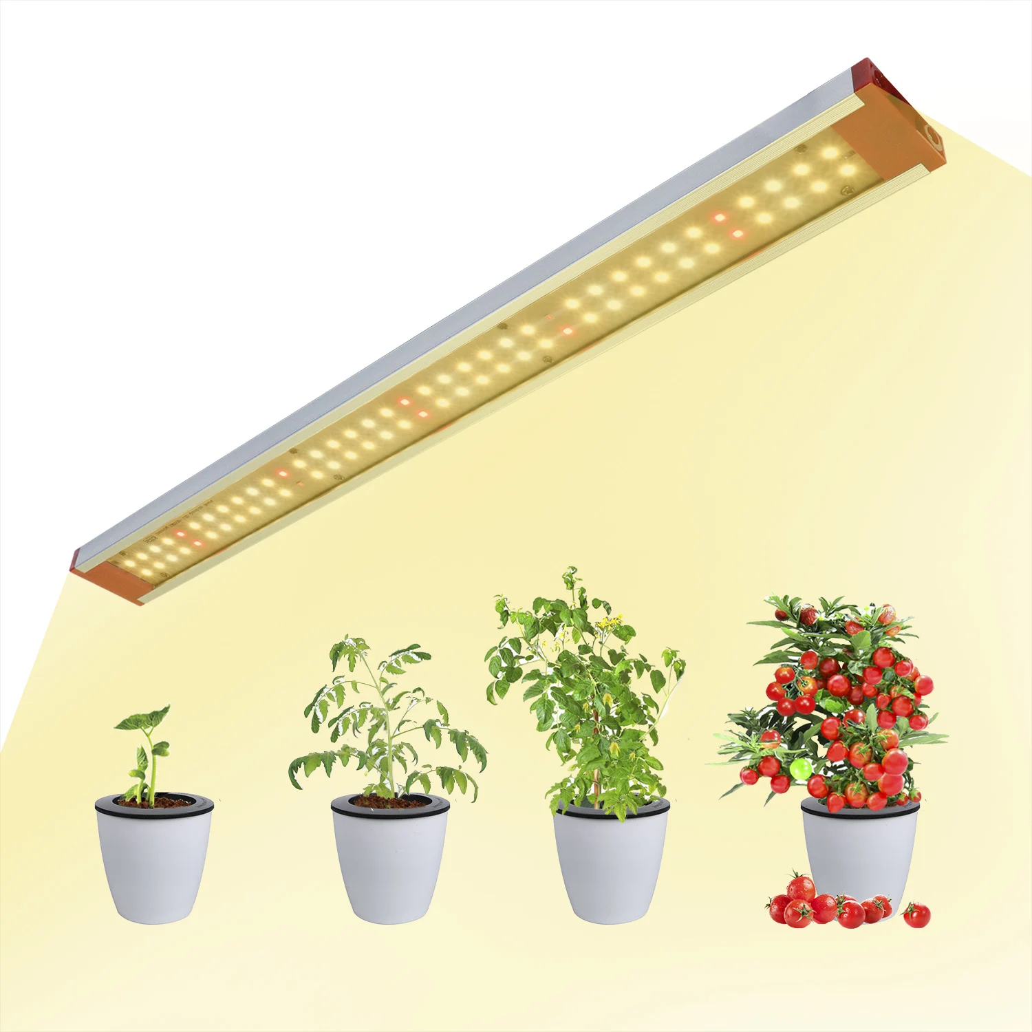 AC220V LED Grow Light Full Spectrum Sunshine Sam-sung LM283B Phyto