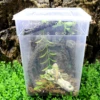 Pets Reptile Feeding Box Tarantula Enclosure Turtle Tank Aquarium Lizard Container Animals Habitat Cage For Frog Spider Gecko 5