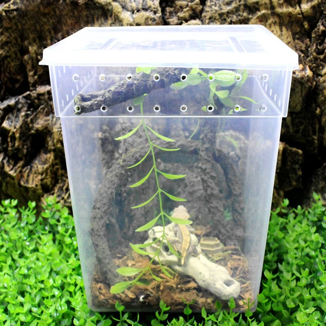 Pets Reptile Feeding Box Tarantula Enclosure Turtle Tank Aquarium Lizard Container Animals Habitat Cage For Frog Spider Gecko 5