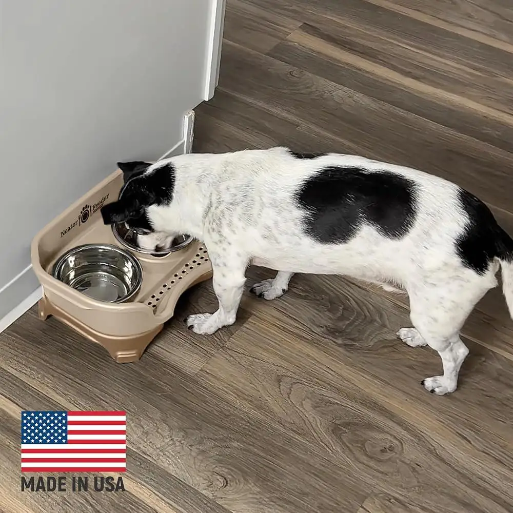 Mess-Proof Elevated Dog Bowls 5