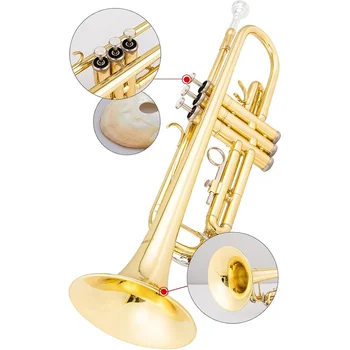 Professional 3 Piston BB Key Bass Trumpet in Gold Lacquer Made of Durable Brass Material Includes Case