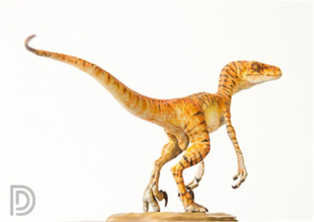 

DINO DREAM 1:15 Scale Velociraptor Raptor Tiger Figure Dromaeosauridae Dinosaur Model Collector Animal Adult Toy Gift