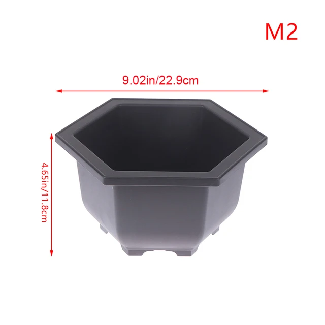 M2