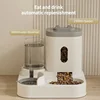 Automatic 2-in-1 Feeder Dog Cat Food Bowl And Water Feeding Device Pet Large Food Dispenser Puppy Pet Kitten Bowl Accessories 2 3