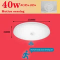 40W Sensor light
