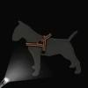 Mesh Nylon Dog Harness Reflective Pet Harness No Pull Dogs Vest With Quick Control Handle for Small Medium Large Dogs Pitbull 4