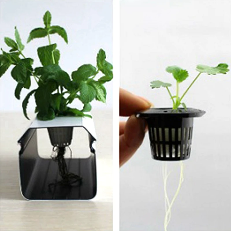 Nursery Pots Plant Propagation Pots Hydroponic Plant Pots 50pcs Black Hydroponic Baskets Sponge Garden Vegetable Soilless Planting Sponge Nursery Pots Foam Plants Root Fixed
