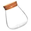 Cork Glass Bottle Plant Small Mason Jars Round Terrarium with Lid Basket Clear Succulent Pot Display Suite Decorate 2