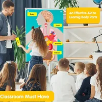 Human Body Organ Educational Learning Board Body Parts Learning Wall Chart for Kid Felt Preschool Kindergarten Teaching Supplies 2