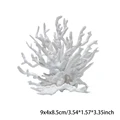 White S