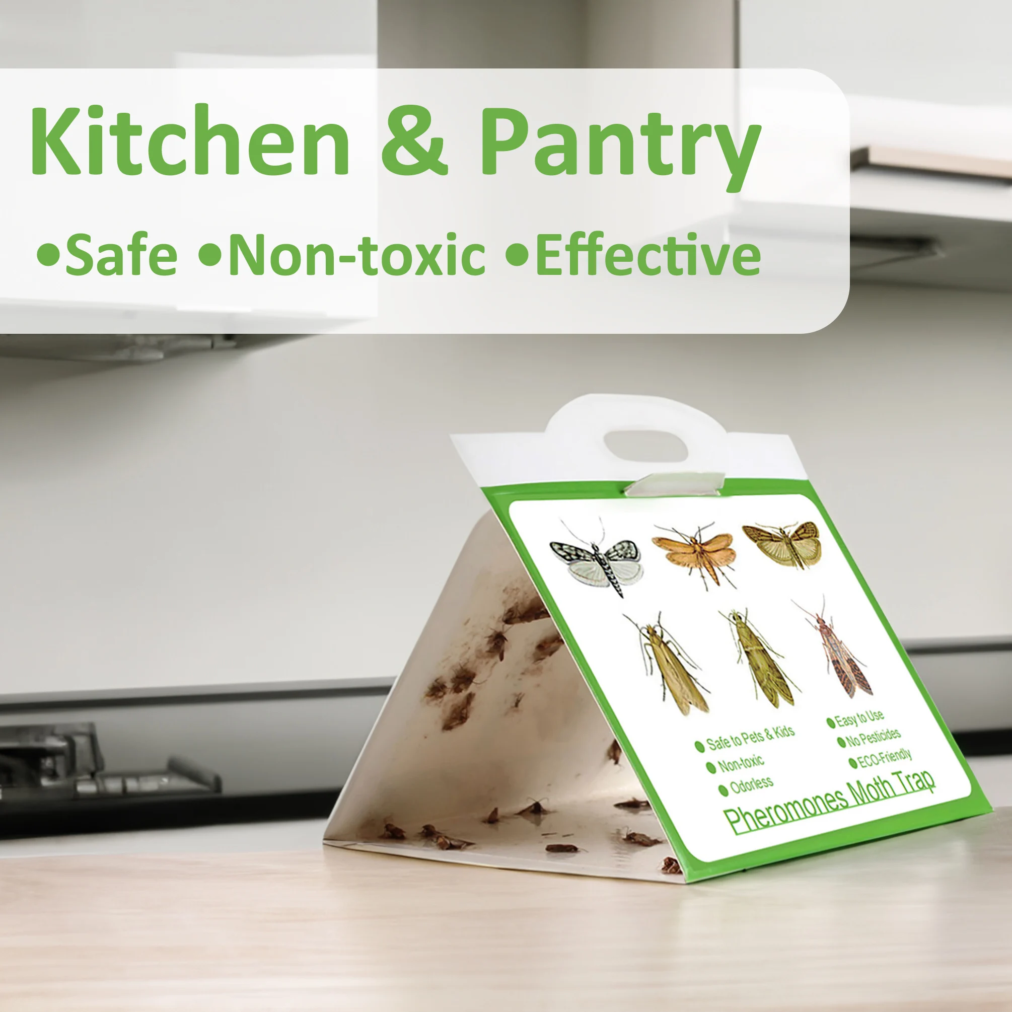 https://ae01.alicdn.com/kf/S4a35f29a318e41c9af795798b78f8933o/Pantry-Clothes-Kitchen-Food-Indian-Moth-Sticker-Killer-Sticky-Glue-Pheromone-Moth-Trap-for-Home-Restaurant.jpg