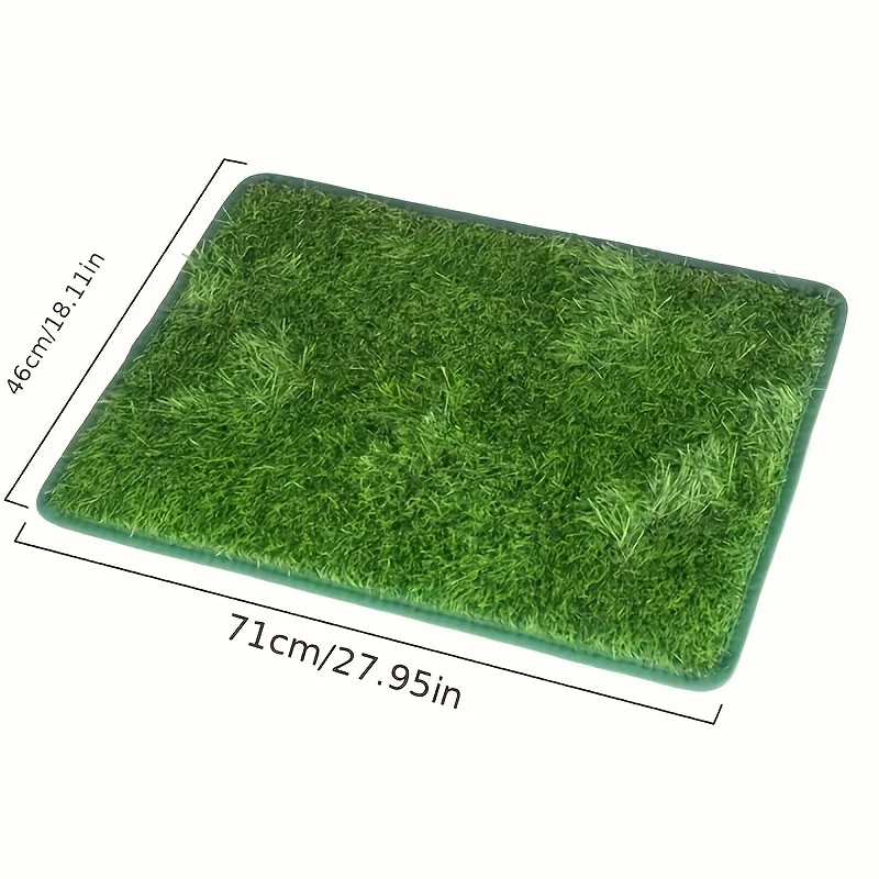 46x71cm