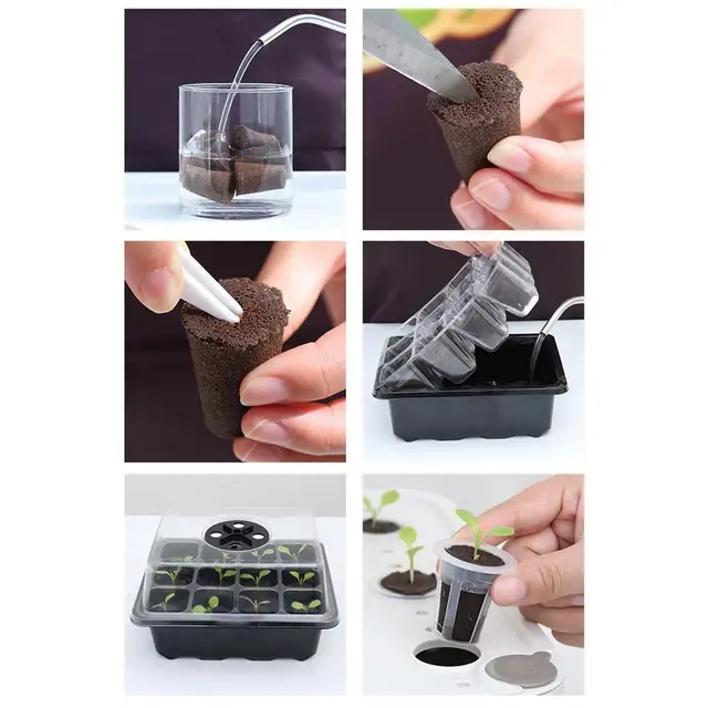 12pcs Croissance Racinaire Éponges Gousse Éponges Démarreur Éponge Gousses  Remplacements Croissance Racinaire Éponge Bouchons Pour Le Jardin  Hydroponique - Couvercles Et Plateaux Pour Pépinière - AliExpress