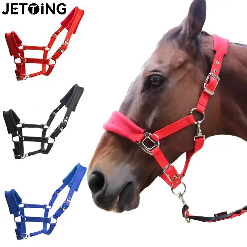 

1X Padded Pony Horse Halter Bridle Headstall Head Collar Horse Riding Accessories