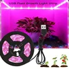 1pc LED Plant Growth Light Strip USB Power Supply Adjustable Length Easy to Install For Hydroponic Plant Growth in Greenhouse 1