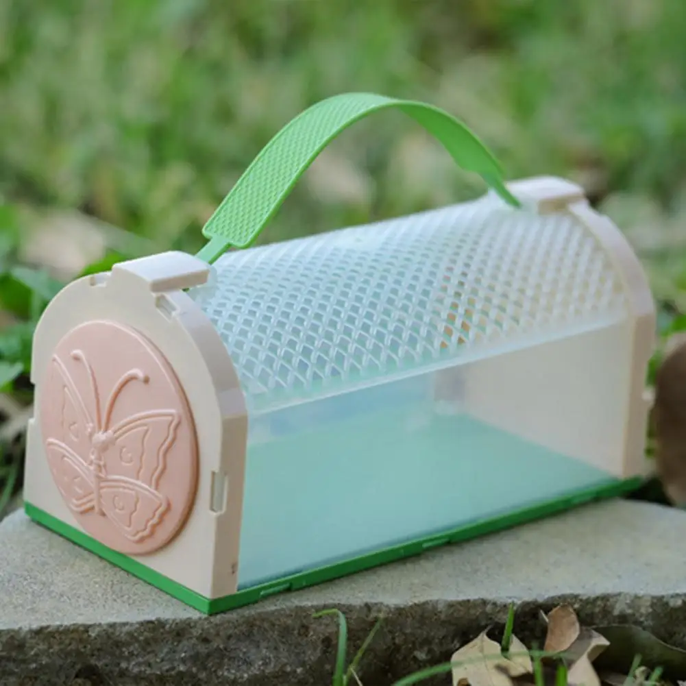 Рисунок 2 - Бабочки клетка интересный прозрачный