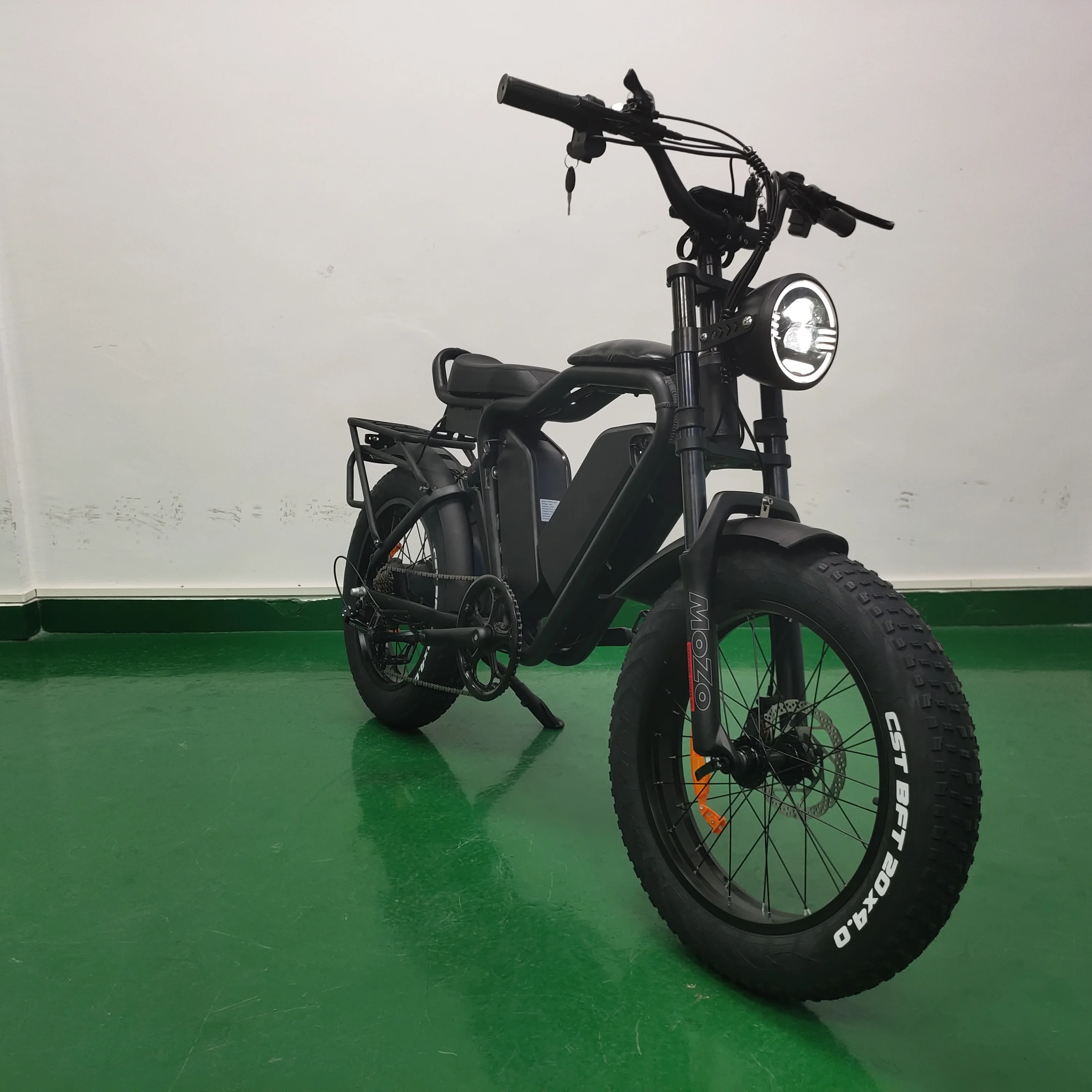 20inch 48v 22ah*2 Dual Lithium Battery 1000w Brushless Motor E Fat Tire Bike Ecycle Cargo Ebike Delivery Electric Bicycle
