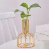 1 set of gold wrought iron metal vase hydroponic container test tube vase living room illustration decoration 1