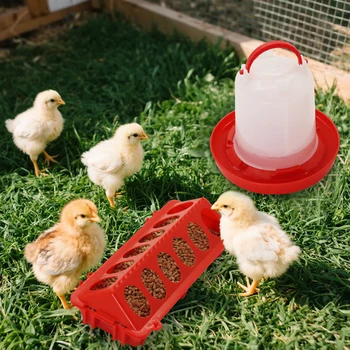 Kit Mangiatoia e Abbeveratoio per Polli - Mangiatoia per Pulcini con Coperchio Ribaltabile e 12 Fori di Alimentazione e Abbeveratoio da 1 Litro: Kit di Avviamento per Pulcini Piccoli