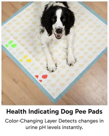 Health Indicating Pee Pads