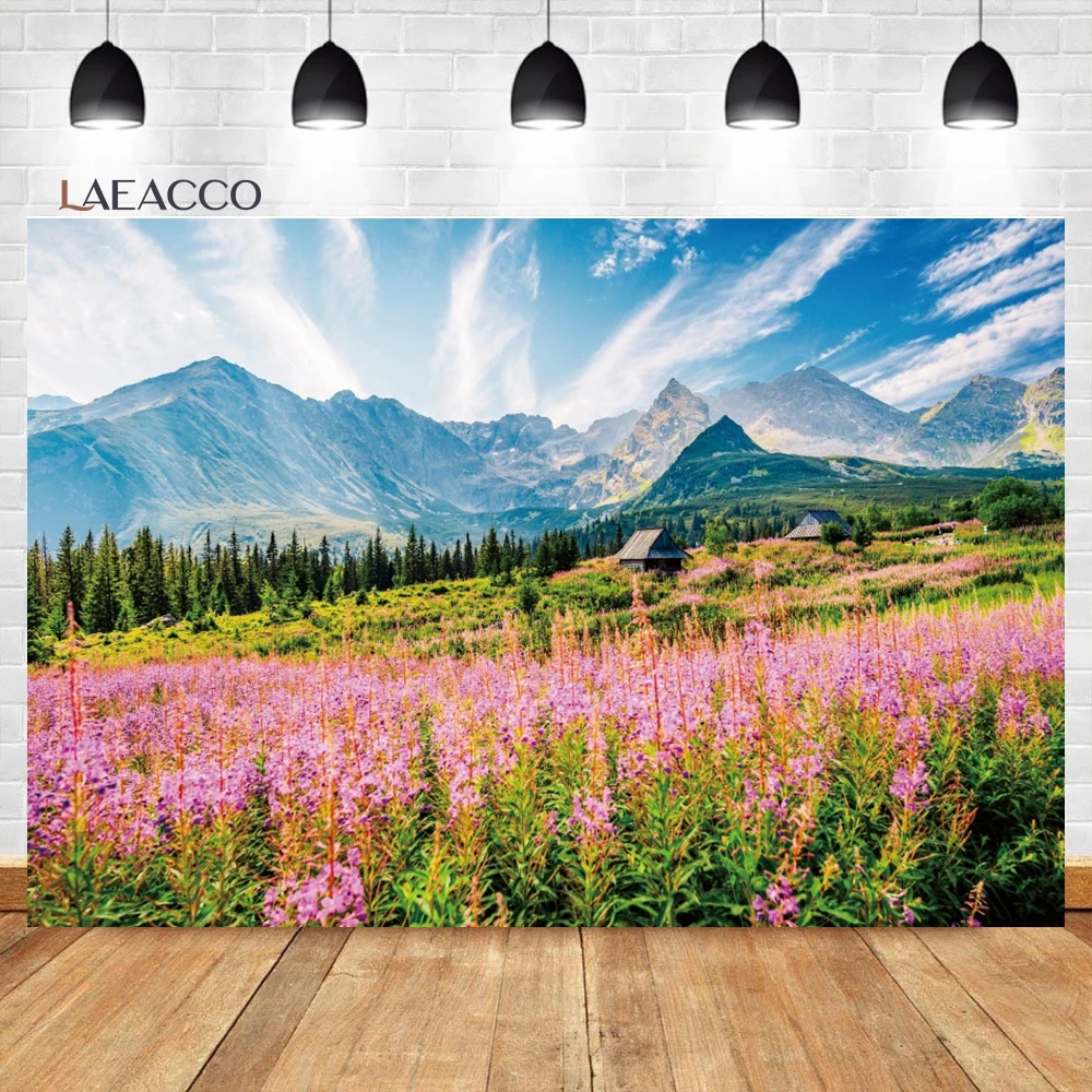 Laeacco ö    , ڿ ,  , ȶ, Ȩ  Ƽ ʻȭ 