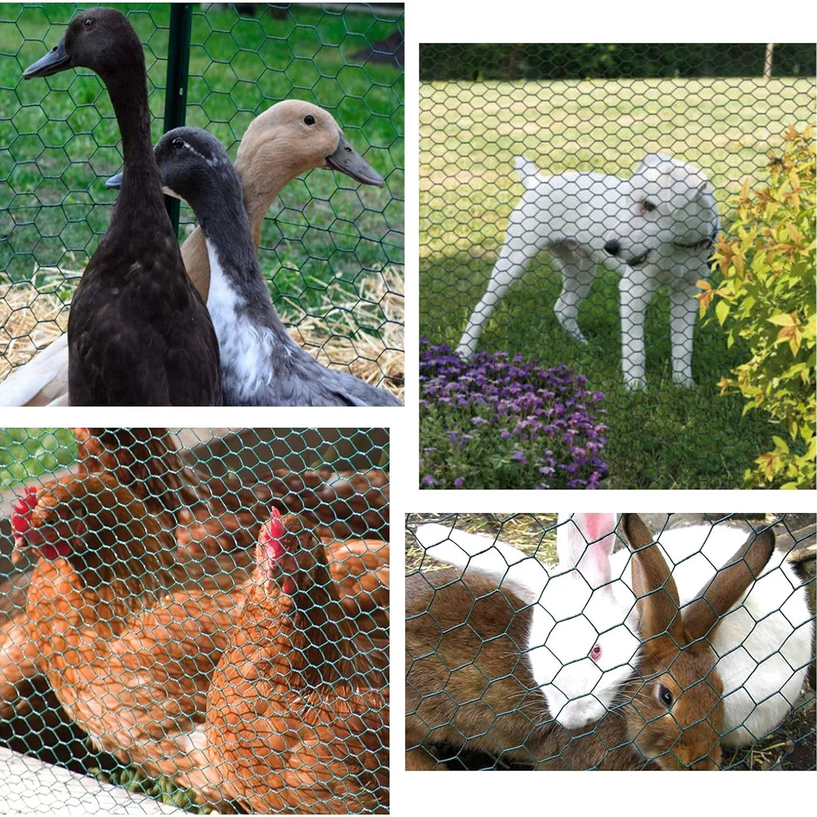 DayPlus PVC Coated Wire Fencing Galvanized Hexagonal Wire Mesh Garden Netting for Home Farm Chicken Poultry Netting Rabbit Duck - Image 4