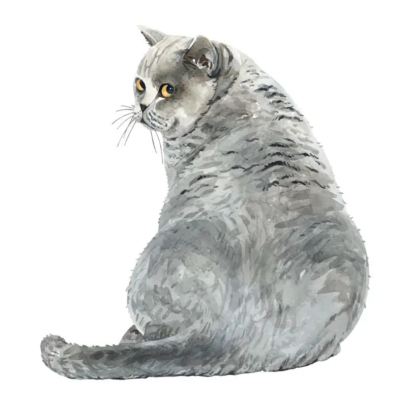 Cute Cat Sticker Toilet Lid Stickers Water-proof Animal Wall Decal Used for Toilet Bathroom Car Motorcycle Van RV wall stickers cat stickers