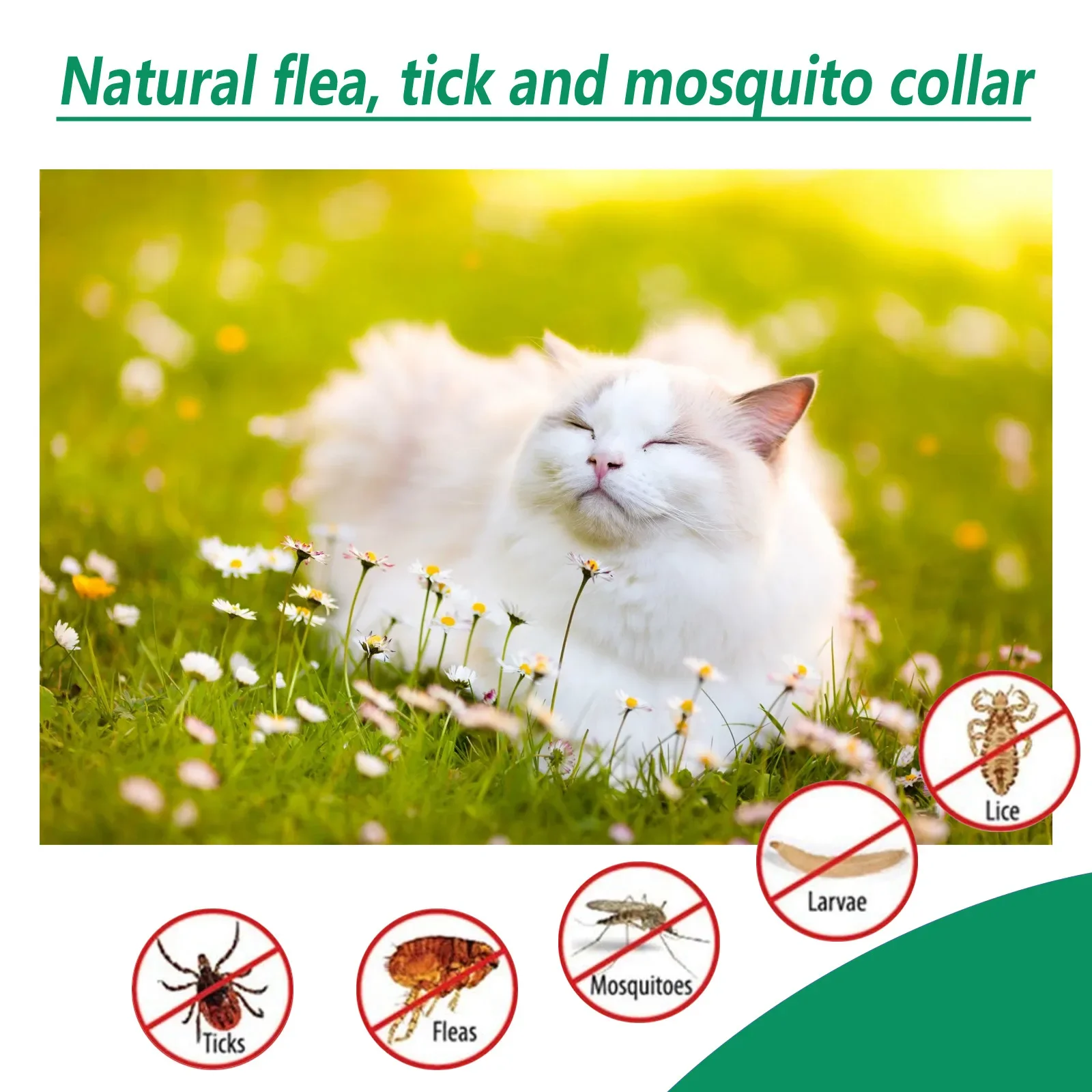 Pets Insect Prevention Collar Anti Flea Tick Repel Mosquito Insect Itch Relief Parasites Control Adjustable Cat Deworming Collar images - 6