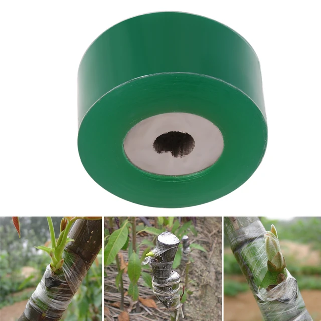 Cinta de película extensible para Injerto de vivero, suministros de  plántulas de plantas y árboles de jardín, autoadhesivo PE ecológico, ancho  de 3cm - AliExpress