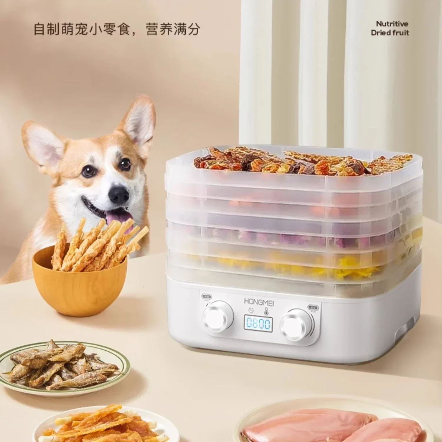 Small Household 5-Layer Freeze Dryer & Dehydrator Machine, Dries Food, Pet Snacks, Fruits, Veggies, Meat, Versatile & Efficient
