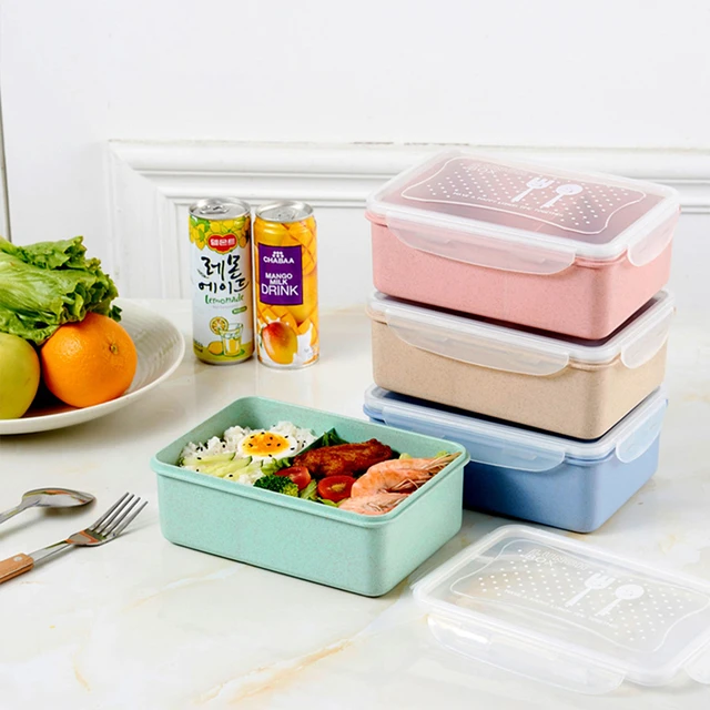 Two Compartment Lunch Box - AliExpress