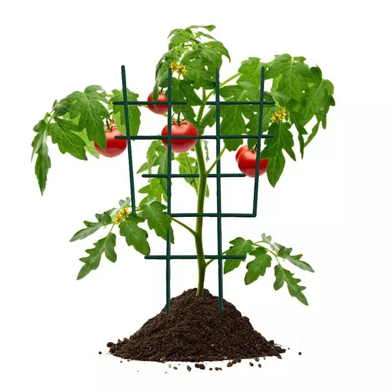 DIY Plastic Plant Support For Garden Vines Fastener Frame Pot Bracket Shelf Climbing Flower Fixed Plant Growth Direction