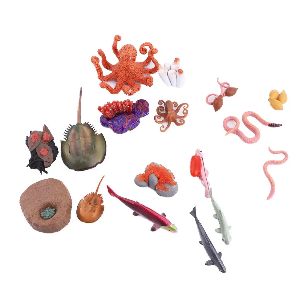 

Декор собирать детей имитация насекомых король Краб Обучающие игрушки осьминог цикл роста модели лосося реалистичный жизненный цикл
