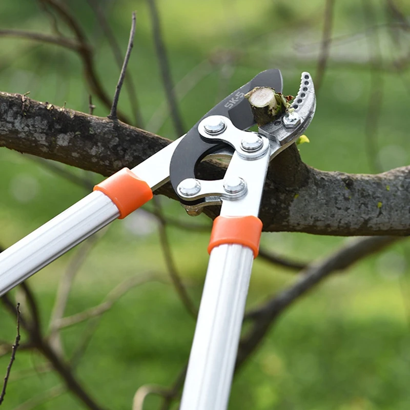 Anti-Slip Grip Garden Pruning Tools Cut Tree Branch Tools Length Scissor Hedge Anvil Shear Fruit Tree Shear 2