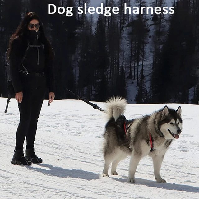 High Quality Big Dog Sledge Harness Skiing Running Pet Harnesses for Medium Large Dogs Alaska Hound Bulldog mascotas Accessories 4