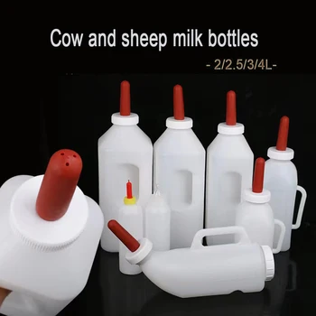 Calf Milk Feeder Bottle 1